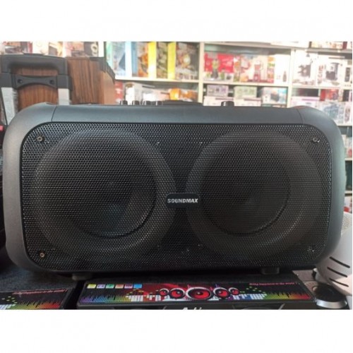 Портативна акумуляторна Bluetooth колонка Temeisheng TMS-6616, 100 Вт, 2×6.5", висота 32 см, з 2 мікрофонами