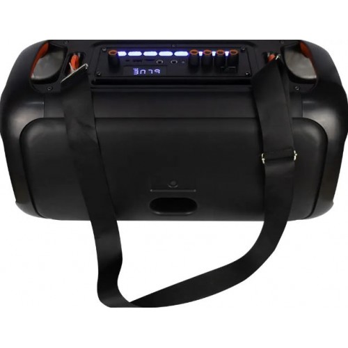 Портативна акумуляторна Bluetooth колонка Temeisheng TMS-6616, 100 Вт, 2×6.5", висота 32 см, з 2 мікрофонами
