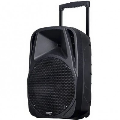 Портативна акумуляторна Bluetooth колонка Temeisheng A18X, 20 Вт, 12" з 2 мікрофонами