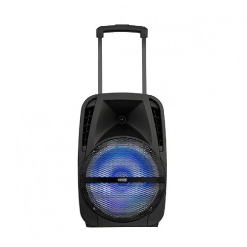 Портативна акумуляторна Bluetooth колонка Temeisheng A18X, 20 Вт, 12" з 2 мікрофонами
