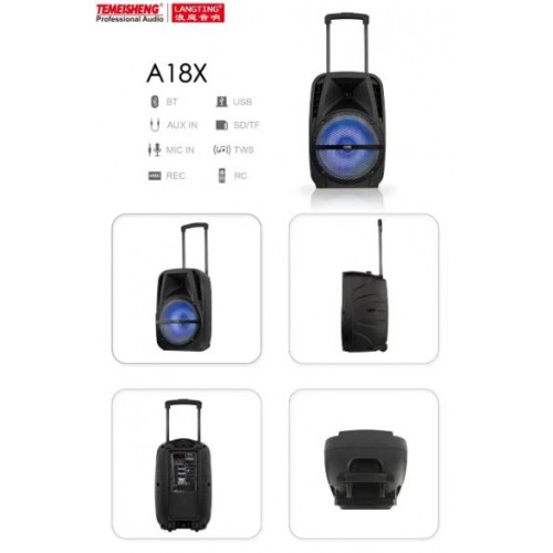 Портативна акумуляторна Bluetooth колонка Temeisheng A18X, 20 Вт, 12" з 2 мікрофонами