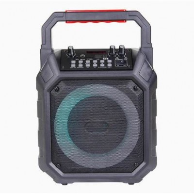 Портативна акумуляторна Bluetooth колонка Temeisheng A6-7, 20 Вт, 6" з мікрофоном