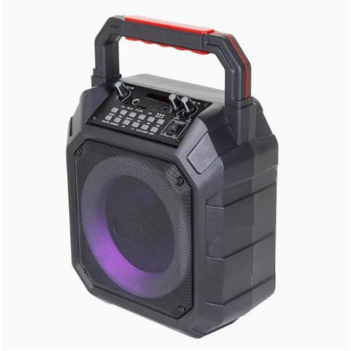 Портативна акумуляторна Bluetooth колонка Temeisheng A6-7, 20 Вт, 6" з мікрофоном