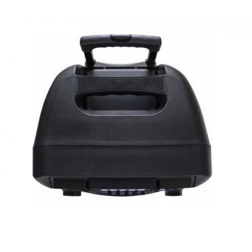 Портативна акумуляторна Bluetooth колонка ZXX-1011, 300 Вт, 1×15", висота 72 см, з 2 мікрофонами