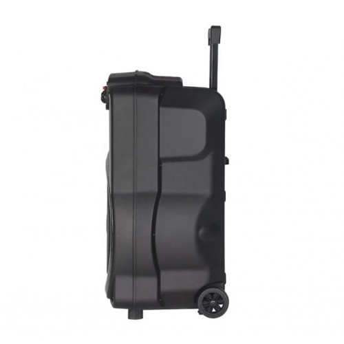 Портативна акумуляторна Bluetooth колонка ZXX-1520, 300 Вт, 1×15", висота 66 см, з 2 мікрофонами