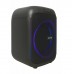 Портативна акумуляторна Bluetooth колонка ZXX-5502, 80 Вт, 1х8", висота 36 см, з 1 мікрофоном
