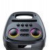 Портативна акумуляторна Bluetooth колонка ZXX-5509, 120 Вт, 2×6.5", висота 62 см, з 1 мікрофоном