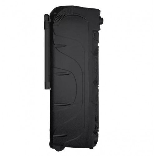 Портативна акумуляторна Bluetooth колонка ZXX-9292, 300 Вт, 2×10", висота 72 см, з 2 мікрофонами