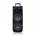 Портативна акумуляторна Bluetooth колонка ZXX-9292, 300 Вт, 2×10", висота 72 см, з 2 мікрофонами
