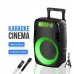 Портативна акумуляторна Bluetooth колонка Gedi-G GD-1219, 60 Вт, 1×12", висота 51 см, з 1 мікрофоном