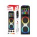 Портативна акумуляторна Bluetooth колонка Gedi-G GD-2125, 200 Вт, 2×12", висота 125 см, з 2 мікрофонами