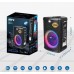 Портативна акумуляторна Bluetooth колонка Gedi-G GD-921, 40 Вт, 1×8", висота 44 см, з 1 мікрофоном