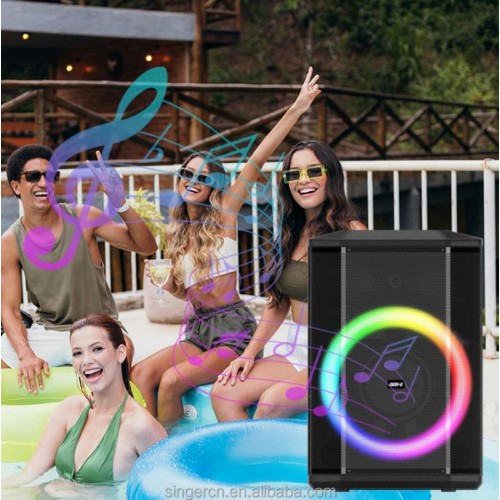 Портативна акумуляторна Bluetooth колонка Gedi-G GD-923, 40 Вт, 1×8", висота 41 см, з 1 мікрофоном