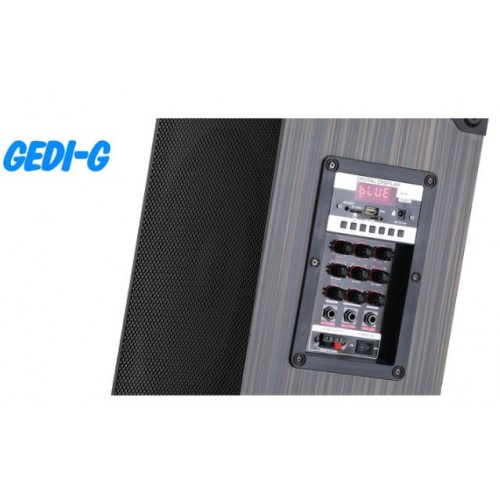 Портативна акумуляторна Bluetooth колонка Gedi-G LT-912, 50 Вт, 2×8", висота 60 см, з 2 мікрофонами