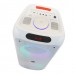 Портативна акумуляторна Bluetooth колонка EVER E-900, 200 Вт, 2×12", висота 100 см, з 2 мікрофонами